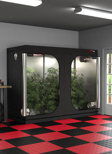 Photobio Lighting - Full Bloom